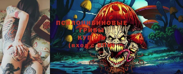 индика Осташков